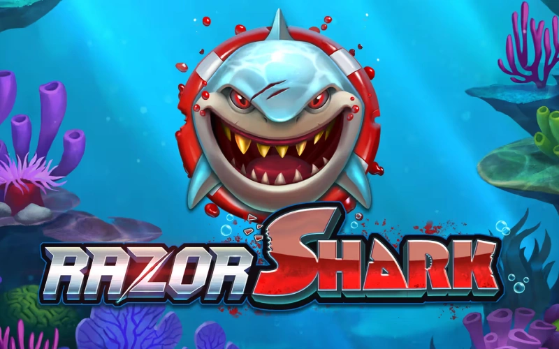Dive into underwater adventures with the Razor Shark slot at JeetCity.
