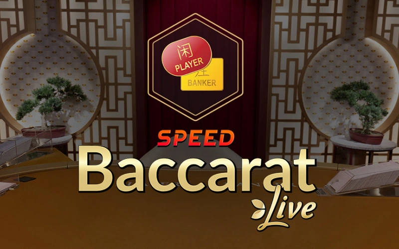 Bet on speed baccarat tables at JeetCity instantly.