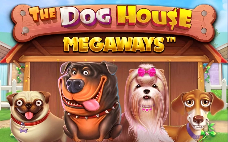 Spin to win on The Dog House Megaways slot at JeetCity.