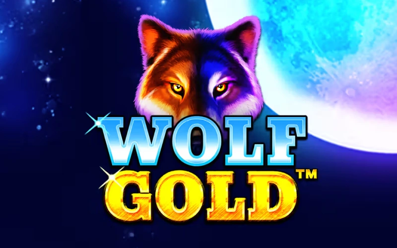 Hunt for massive jackpot payouts in the iconic Wolf Gold game at JeetCity.